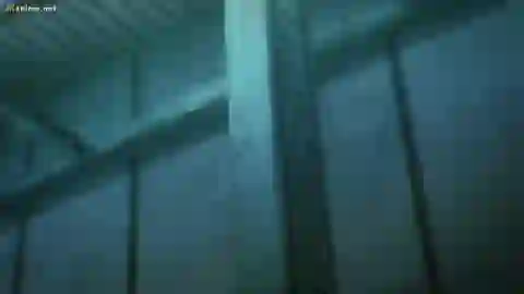 7 Seeds 2nda Temporada Episodio 8