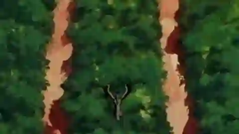 Argento Soma Episodio 12