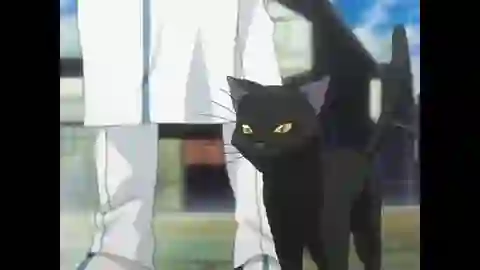 Bleach Episodio 21