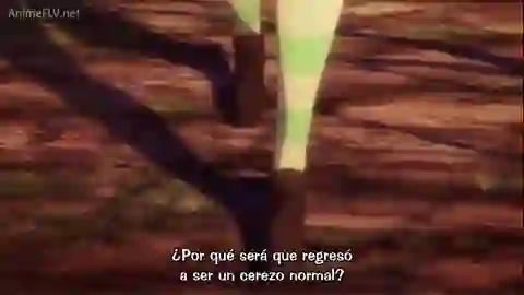 D.C.II S.S.: Da Capo II 2nda Temporada Episodio 1
