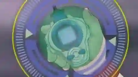 Digimon Tamers Episodio 19