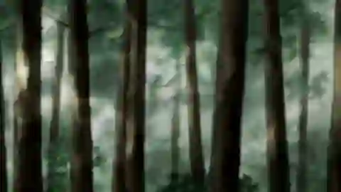 Dororo Episodio 15