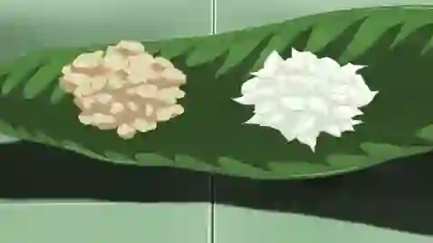 Dr. Stone: New World Parte 2 Episodio 9