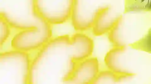 Dragon Ball Heroes Episodio 9
