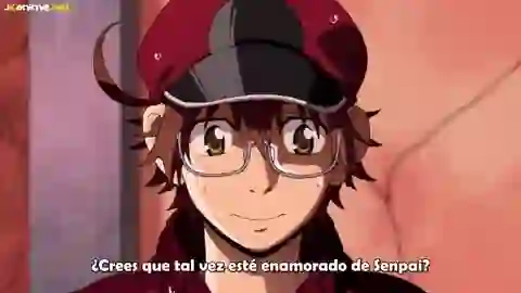 Hataraku Saibou Black (TV) Episodio 2