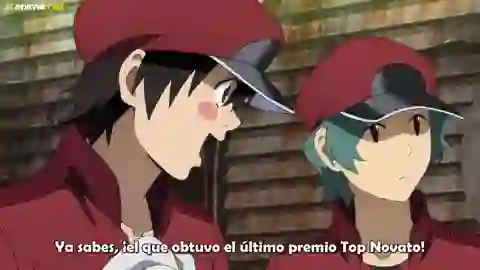 Hataraku Saibou Black (TV) Episodio 9