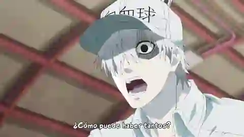 Hataraku Saibou (TV) Episodio 5