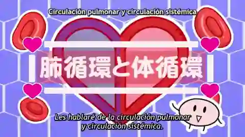 Hataraku Saibou (TV) Episodio 8
