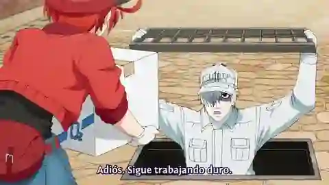 Hataraku Saibou (TV) Episodio 10