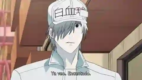 Hataraku Saibou (TV) Episodio 12