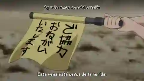 Hataraku Saibou (TV) Episodio 13