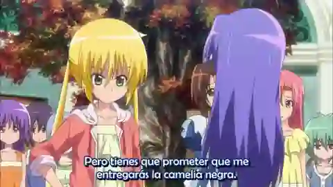 Hayate no Gotoku! Can't Take My Eyes Off You Episodio 11