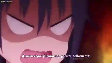 Himouto! Umaru-chan R Episodio 8