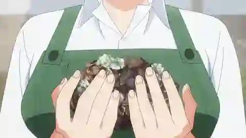 Houseki no Kuni Episodio 11