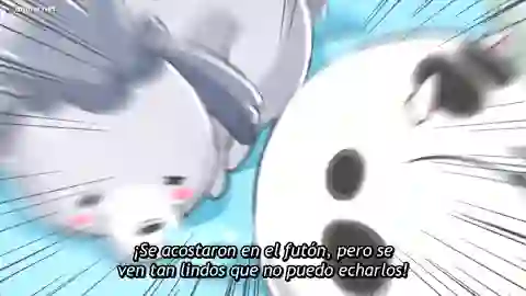 Inu to Neko Docchi mo Katteru to Mainichi Tanoshii Episodio 6