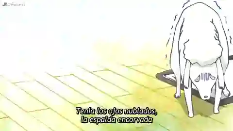 Inu to Neko Docchi mo Katteru to Mainichi Tanoshii Episodio 7