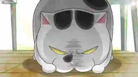 Inu to Neko Docchi mo Katteru to Mainichi Tanoshii Episodio 17