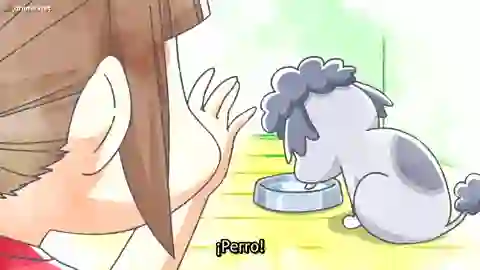 Inu to Neko Docchi mo Katteru to Mainichi Tanoshii Episodio 18