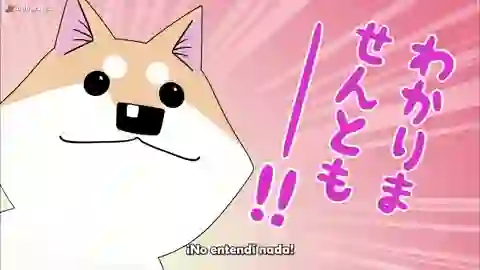 Itoshi no Muco Episodio 11