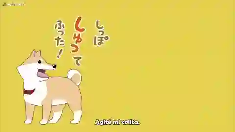 Itoshi no Muco Episodio 20