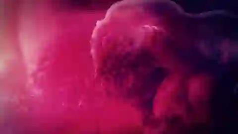 Kagewani Episodio 5