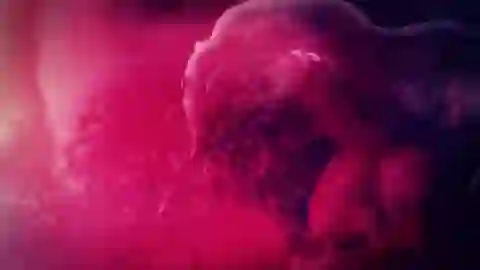 Kagewani Episodio 13