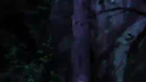 Lupin III (2015) Episodio 13