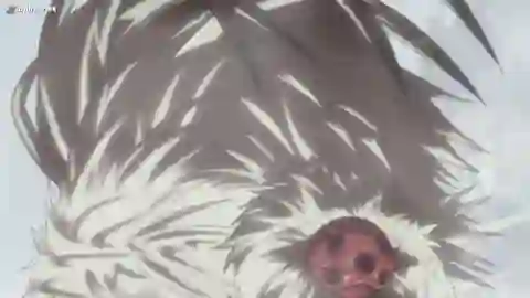 Made in Abyss Episodio 10