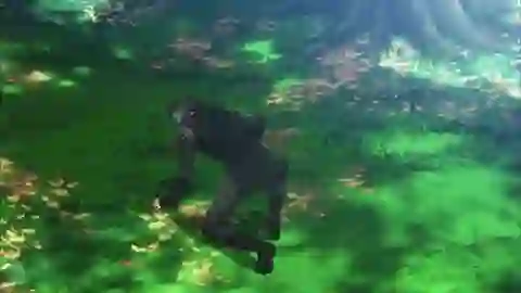 Mahouka Koukou no Rettousei Episodio 15