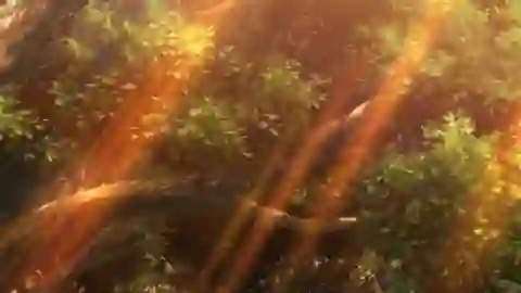 Mahoutsukai no Yakusoku Episodio 10