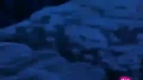 Mermaid Melody Pichi Pichi Pitch Pure Episodio 10