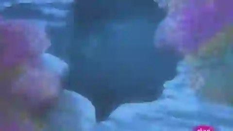 Mermaid Melody Pichi Pichi Pitch Pure Episodio 13