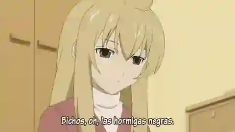 Minami-ke Okaeri Episodio 10