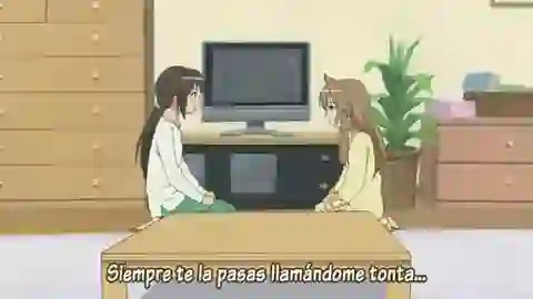 Minami-ke Episodio 9