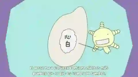 Moyashimon Returns Episodio 1