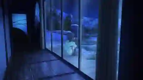 Nagi no Asukara Episodio 24