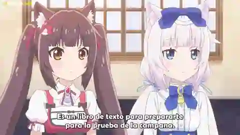 Nekopara Episodio 10