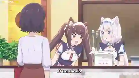Nekopara Episodio 11