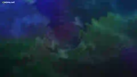 Ninja Collection Episodio 11