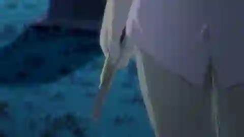Noein: Mou Hitori no Kimi e Episodio 2