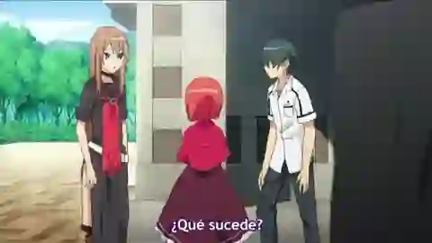 Ookami-san to Shichinin no Nakamatachi Episodio 8