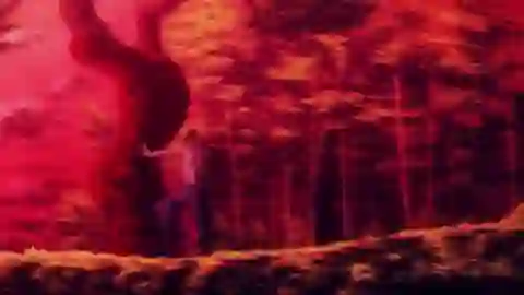 Ore Monogatari!! Episodio 2