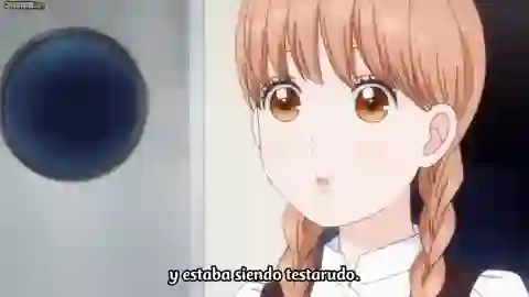 Ore Monogatari!! Episodio 24