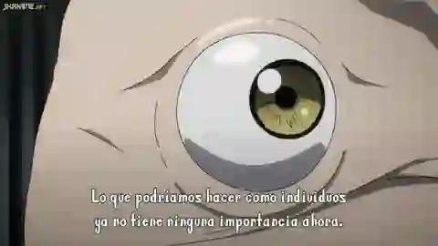 Parasyte - Kiseijuu Sei no Kakuritsu Episodio 21