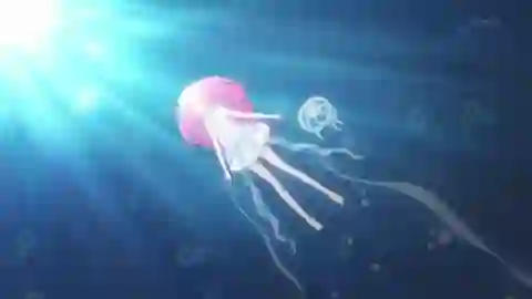 Puri Para Episodio 8