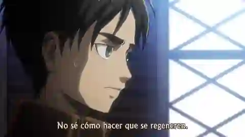 Shingeki no Kyojin Episodio 19