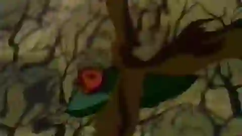 Star Ocean EX Episodio 24