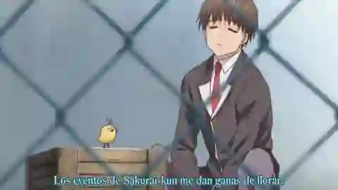 Tokimeki Memorial: Only Love Episodio 21