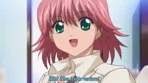 Tokimeki Memorial: Only Love Episodio 22