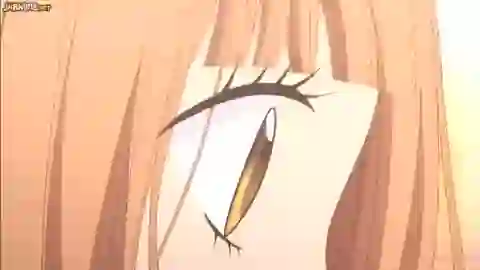 Tsubasa to Hotaru Episodio 1